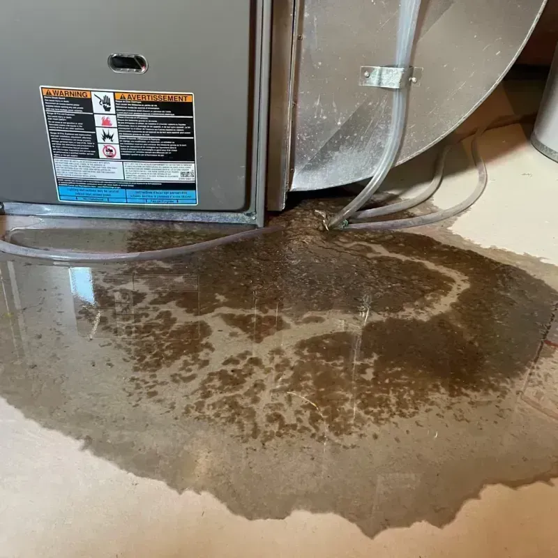 Appliance Leak Cleanup in Polk County, IA